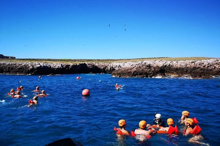 Eine Gruppe Schnorchler schwimmt im blauen Ozean nahe einer felsigen Insel
